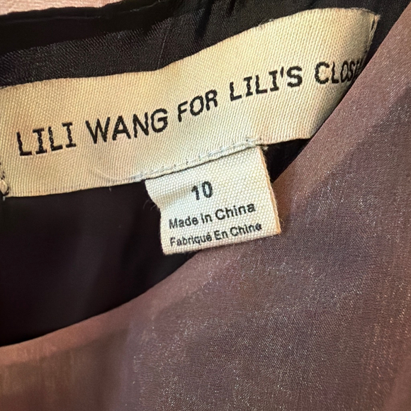 Lili Wang for Lili's Closet Organza Lace Dress Evening Cocktail Party Sz 10 - Picture 2 of 10